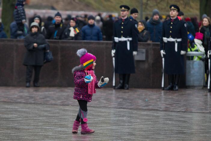 Vėliavos dienos ceremonija Vilniuje