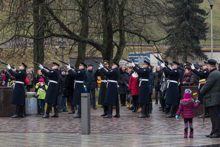 Vėliavos dienos ceremonija Vilniuje