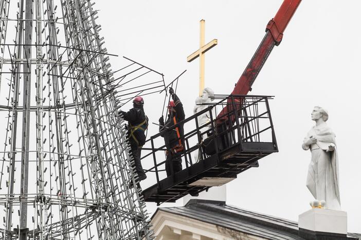 Katedros aikštėje ruošiama Kalėdų eglė