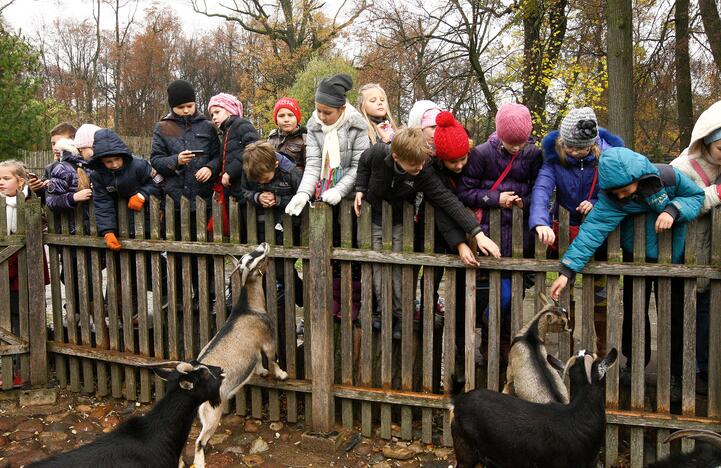 Gilių šventė zoologijos sode