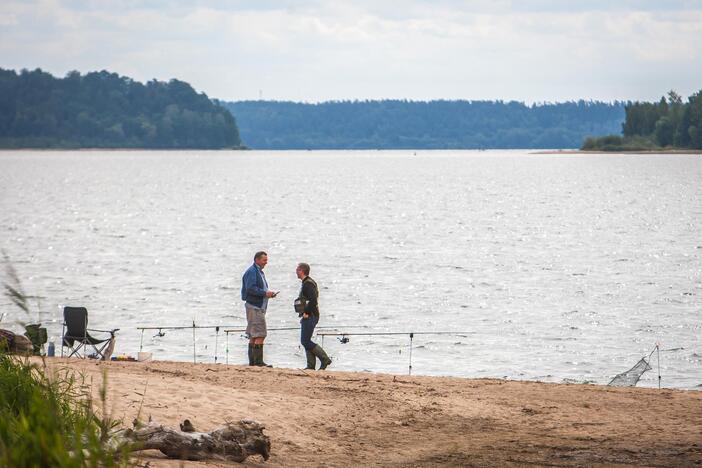 Aplinkosaugininkų reidas Kaune