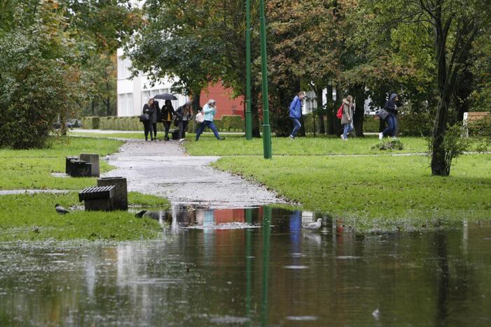 Vanduo: pėsčiųjų takais dabar mėgaujasi tik kirai ir antys.