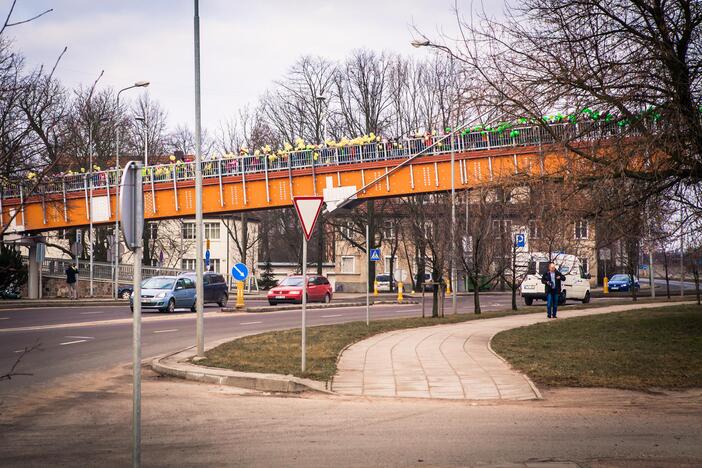 Rekordinio ilgio Lietuvos vėliava iš balionų