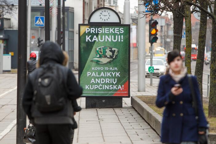 Konservatorių politinė reklama