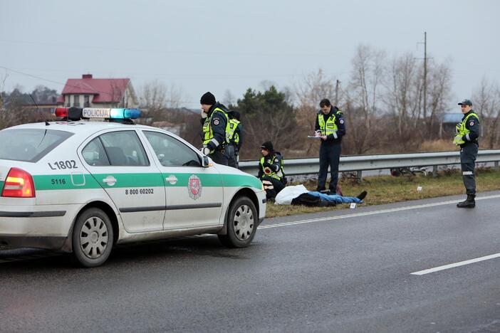 Palangos plente žuvo dviratininkas