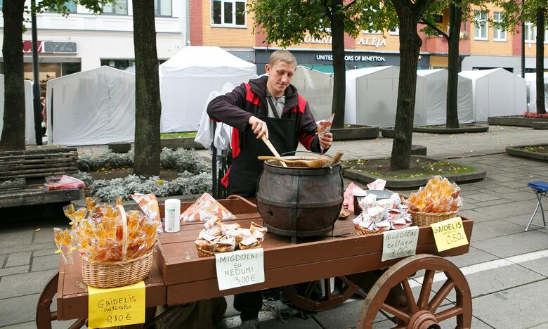 Derliaus ir amatų šventė