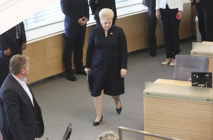 Devintasis D. Grybauskaitės metinis pranešimas Seime