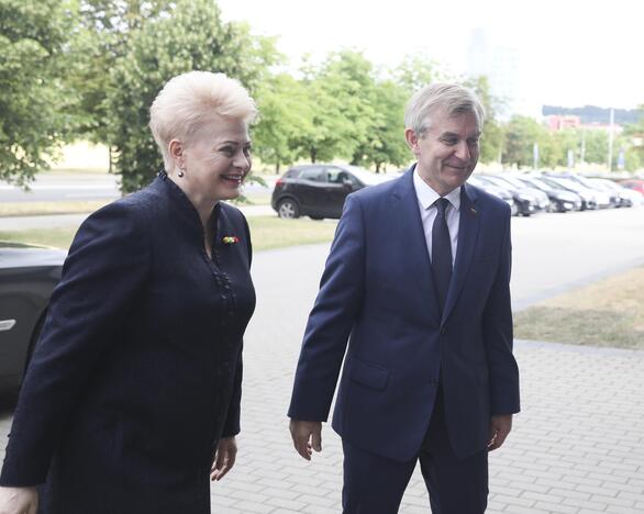 Devintasis D. Grybauskaitės metinis pranešimas Seime