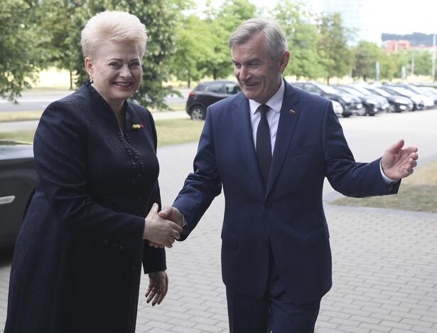 Devintasis D. Grybauskaitės metinis pranešimas Seime