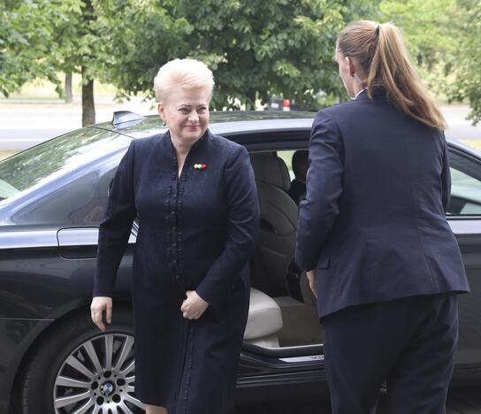 Devintasis D. Grybauskaitės metinis pranešimas Seime