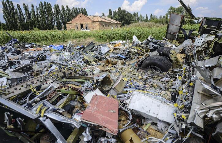 Savaitė po tragedijos: pasaulis gedi MH17 skrydžio aukų