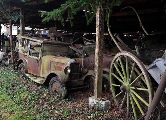 Rasta senovinių automobilių kolekcija