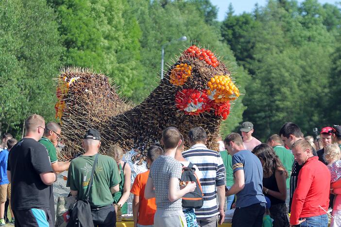 Paukščių festivalis Kaišiadoryse