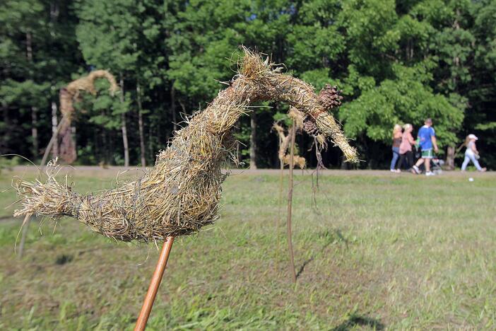 Paukščių festivalis Kaišiadoryse