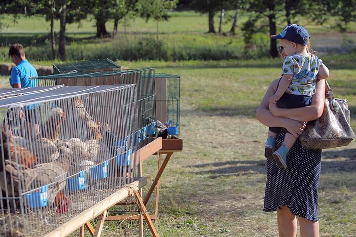 Paukščių festivalis Kaišiadoryse