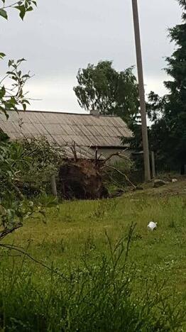 Lietuvą siaubia lietus ir viesulas