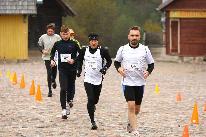 Lietuvos bėgimo tautė 2013