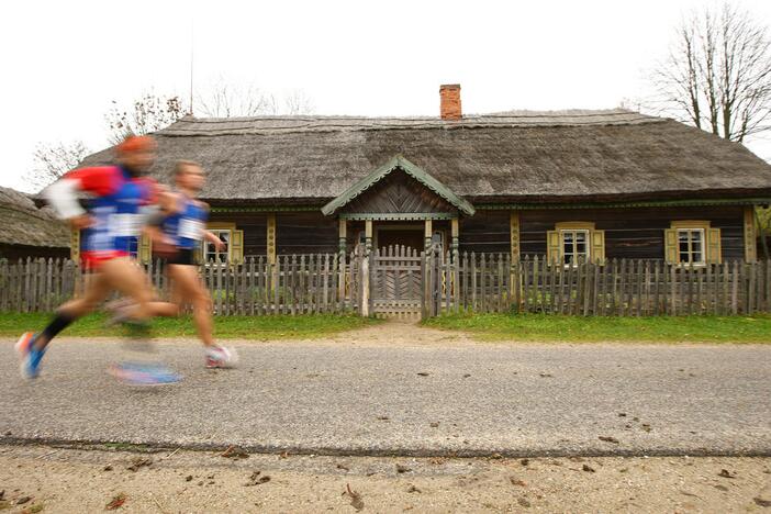 Lietuvos bėgimo tautė 2013