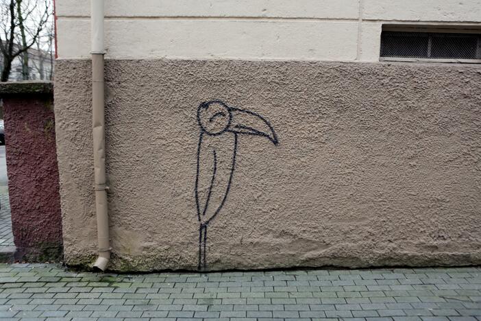 Grafitininkai apipaišė namų sienas