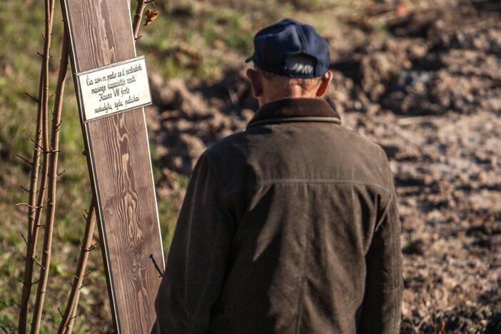 Žydų palaikų laidojimas VII forte