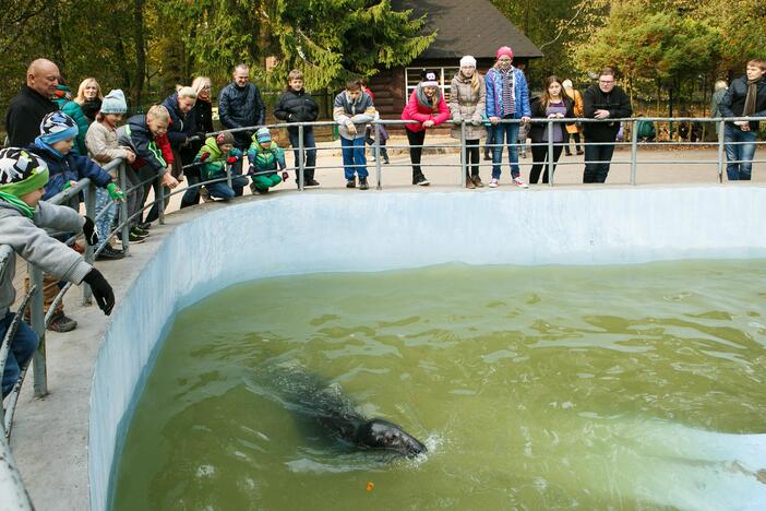 Šeštadienis zoologijos sode