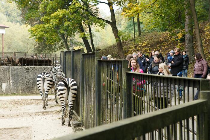 Šeštadienis zoologijos sode