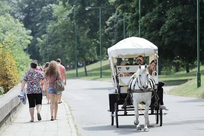 Be 60 litų nėra ko net svajoti apie pasivėžinimą karieta