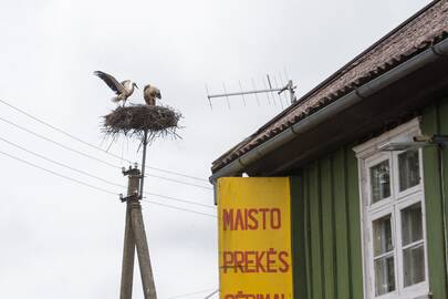 Kišenė: anot ekspertų, nerimą žmonėms kelia kelia tai, kad reikia išleisti gerokai daugiau pinigų būtiniausioms prekėms, maisto prekių krepšelio infliacija yra didžiausia.