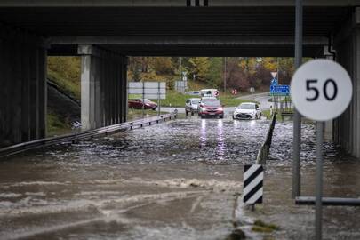 Avižienių viadukas.