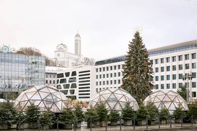 Kauno eglutė skaičiuoja paskutines dienas