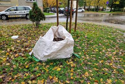 Klausimai: policijos pareigūnai nupjautų kojų ieškojo ir tarp nukritusių lapų.