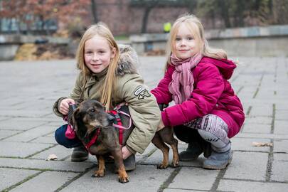 Pažadas: nežinau, kaip Bosiukas gyveno anksčiau, bet dabar jam nestigs meilės.