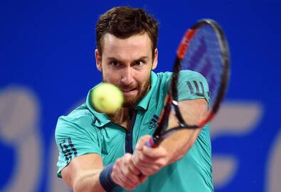 Ernestas Gulbis