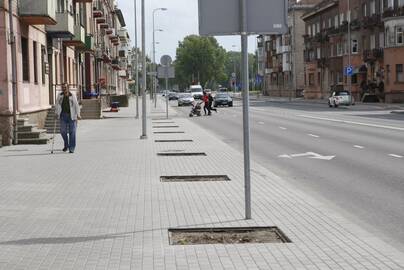 Medeliai: gyventojų susidomėjimą kelia klausimas, kodėl Minijos gatvėje dar neatsodinti vasaros pradžioje išrauti nudžiūvę ąžuoliukai.