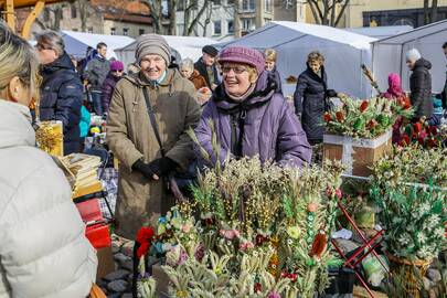 Tradicija: ir šiemet Klaipėdoje pavasarį budins Kazimierinės. Jau dabar neabejojama, kad dalyvių bus daugiau nei pernai.