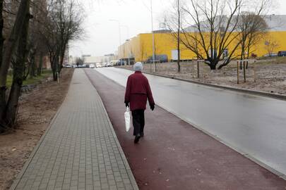 Elektra: sutemus naujoji gatvelė, kuria darželio bei darbo biržos link eina daugybė suaugusiųjų ir vaikų, skendi tamsoje.