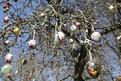 Šventė: artėjant Velykoms, margučiais papuoštas medis džiugina globos namų auklėtinius ir darbuotojus.