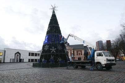 Progresas: šiemet Kalėdų eglutė bus ne žemesnė nei 10 metrų.