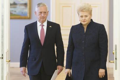 Jamesas Mattisas ir Dalia Grybauskaitė