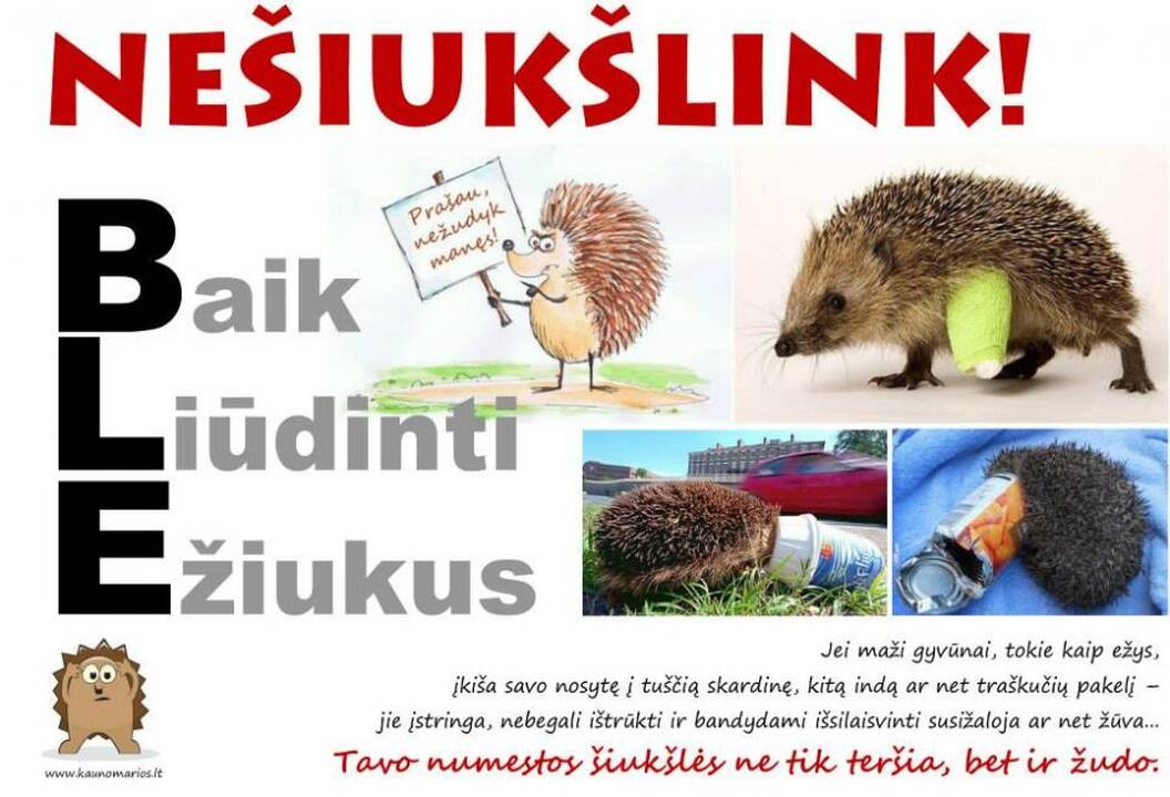 Beprotybė: miškuose randama neįtikėtinų šiukšlių.