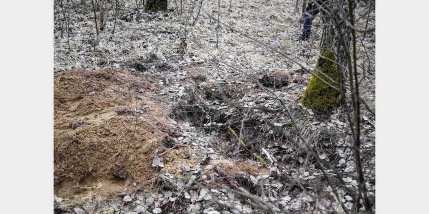 Vieta, kur buvo užkasta I. Strazdauskaitė