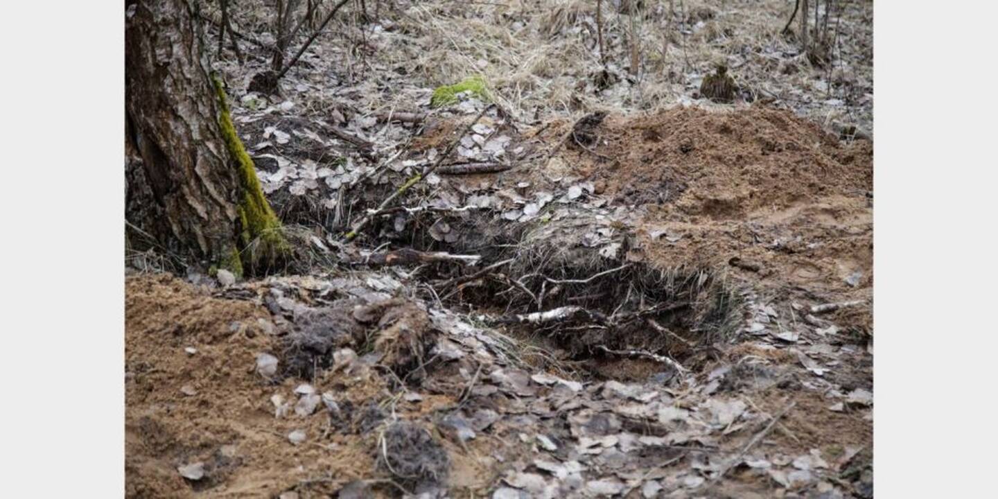 Vieta, kur buvo užkasta I. Strazdauskaitė