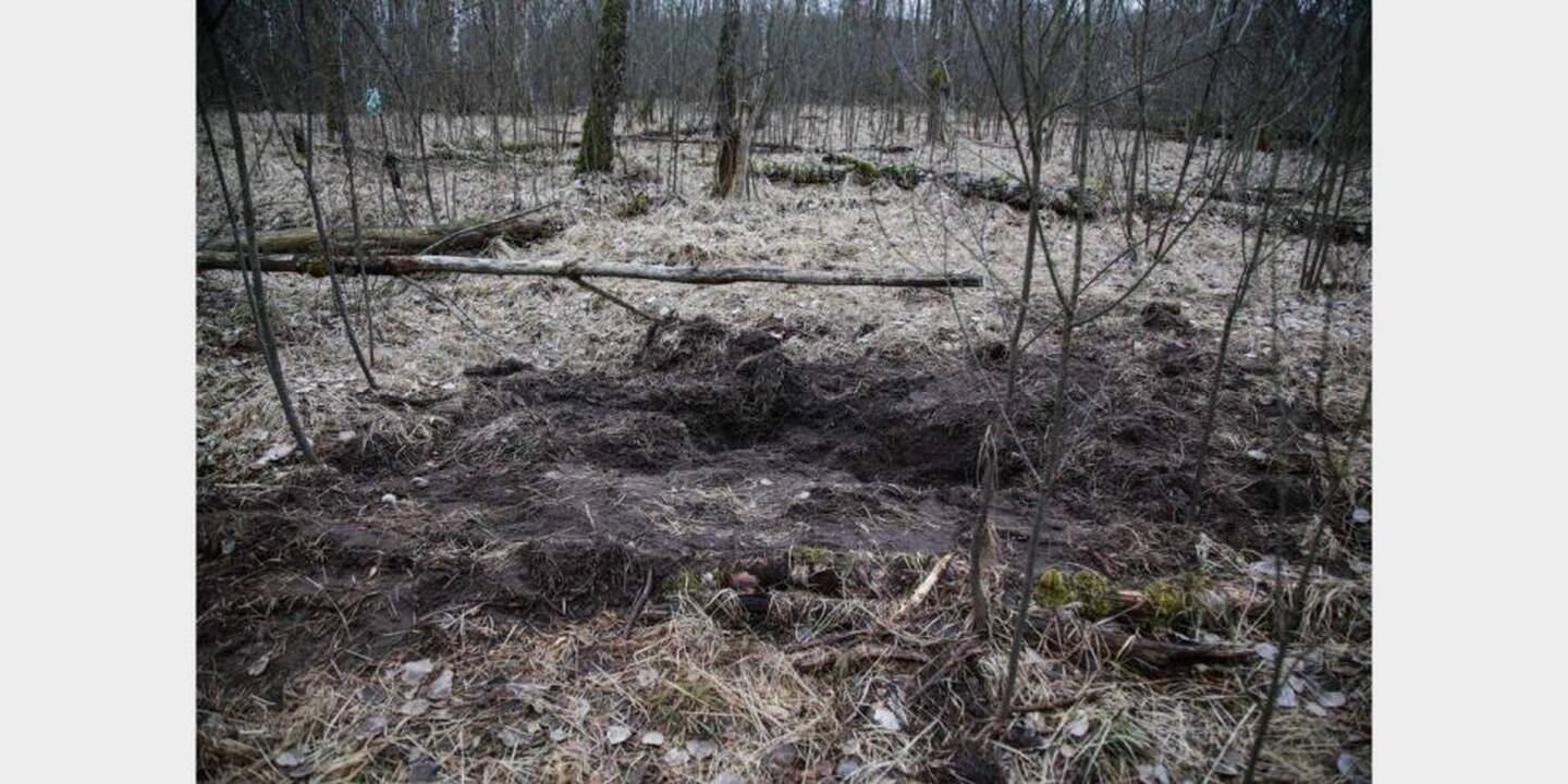 Vieta, kur buvo užkasta I. Strazdauskaitė