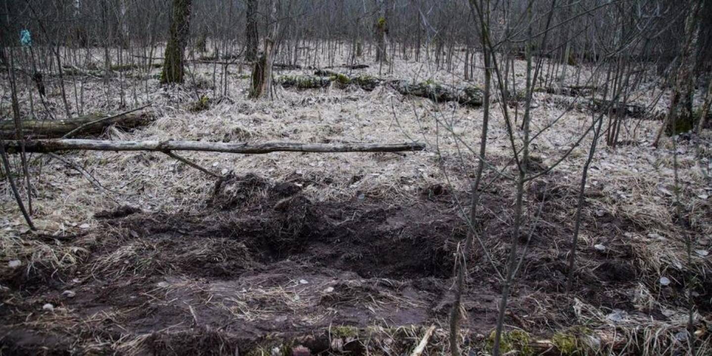 Vieta, kur buvo užkasta I. Strazdauskaitė