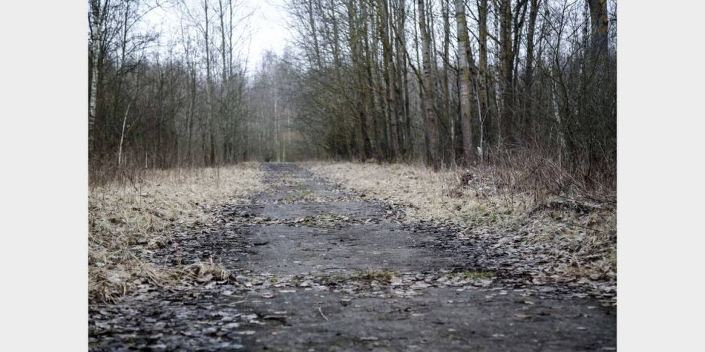 Vieta, kur buvo užkasta I. Strazdauskaitė