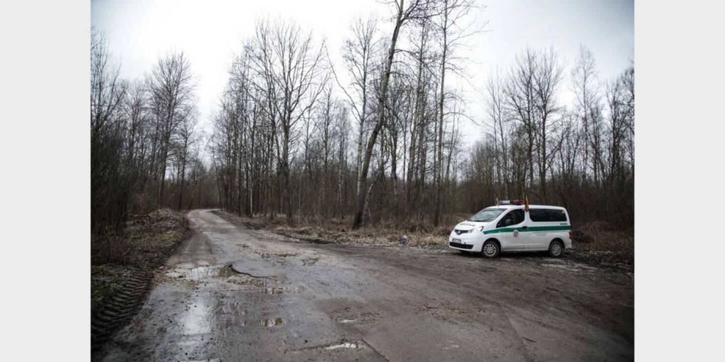 Vieta, kur buvo užkasta I. Strazdauskaitė