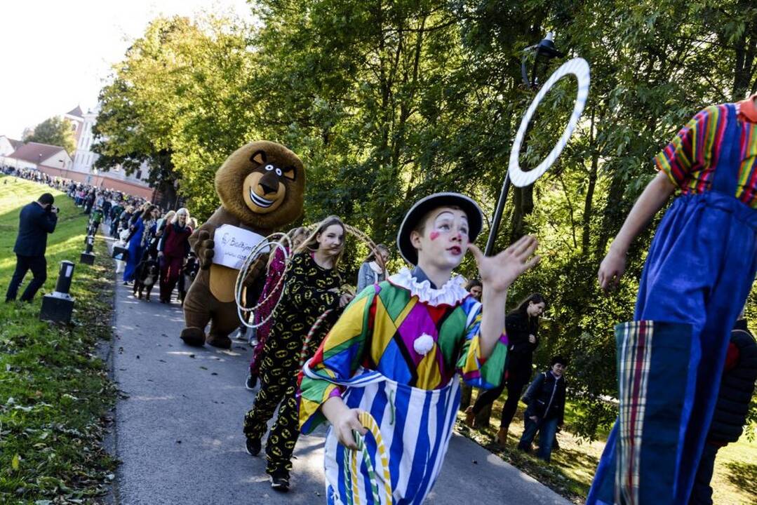 Gyvūnų diena Kaune