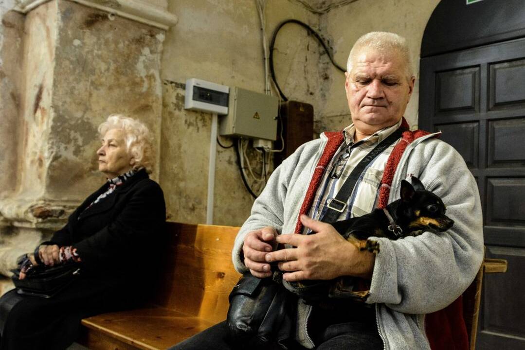 Gyvūnų diena Kaune