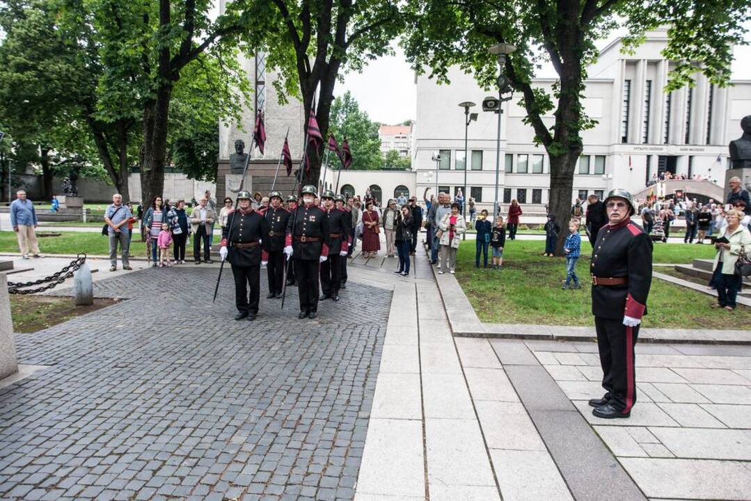 Valstybės dienos minėjimas prie Karo muziejaus