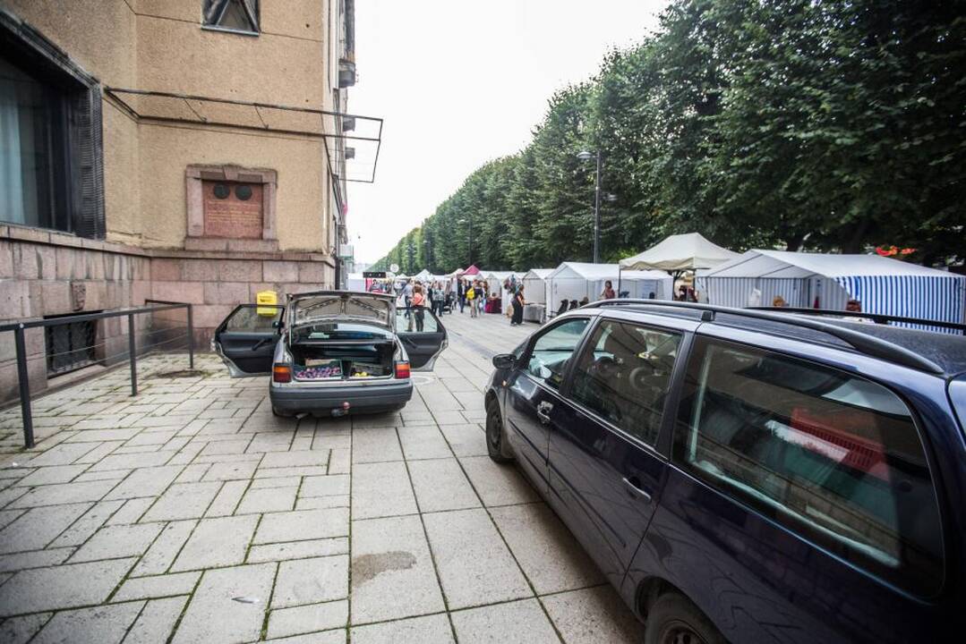 Rudens mugė